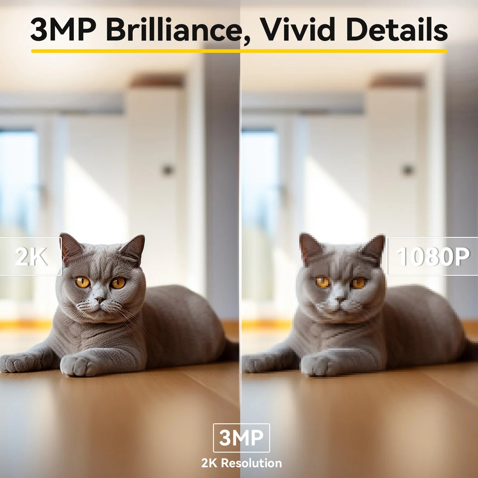 Comparison of a cat at 2K and 1080P resolutions with '3MP Brilliance, Vivid Details' text.