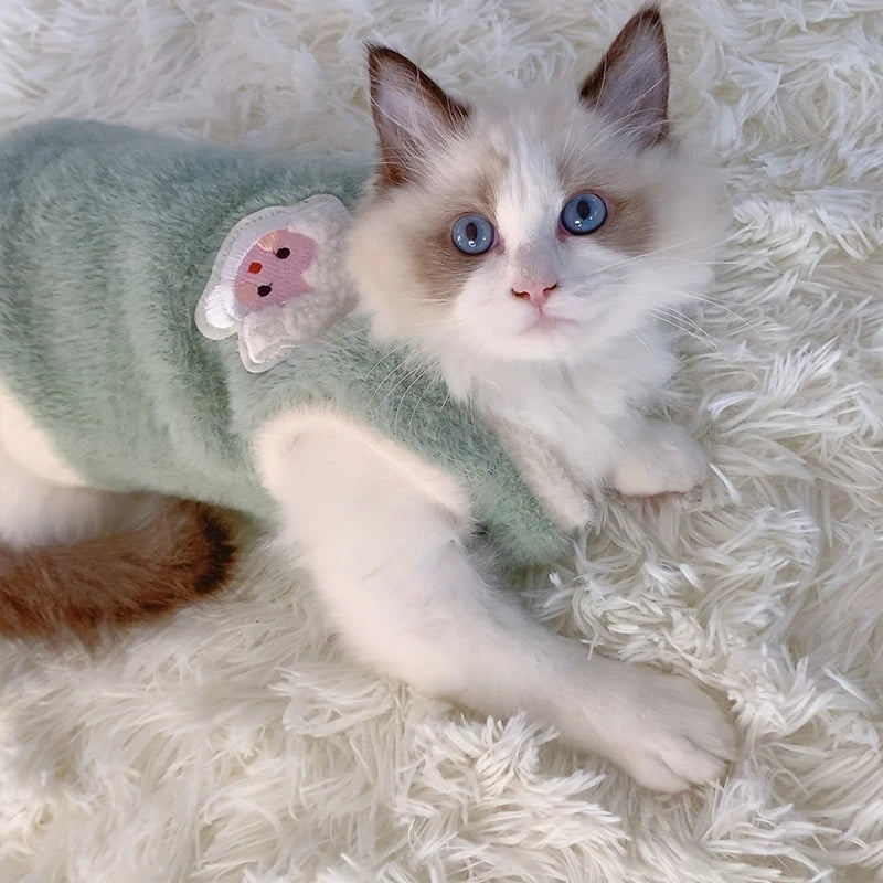 Cat wearing a green sweater with cartoon character on a fluffy white surface
