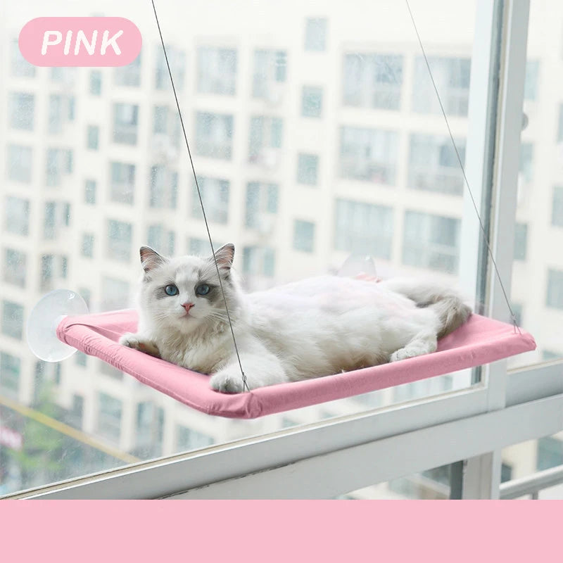 Cat lounging on a pink window hammock with a cityscape background