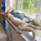 Two cats lounging on a window sill with a view of greenery outside.