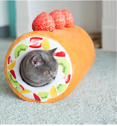 Gray cat interacting with a fruit-themed pet bed on a light blue carpet.