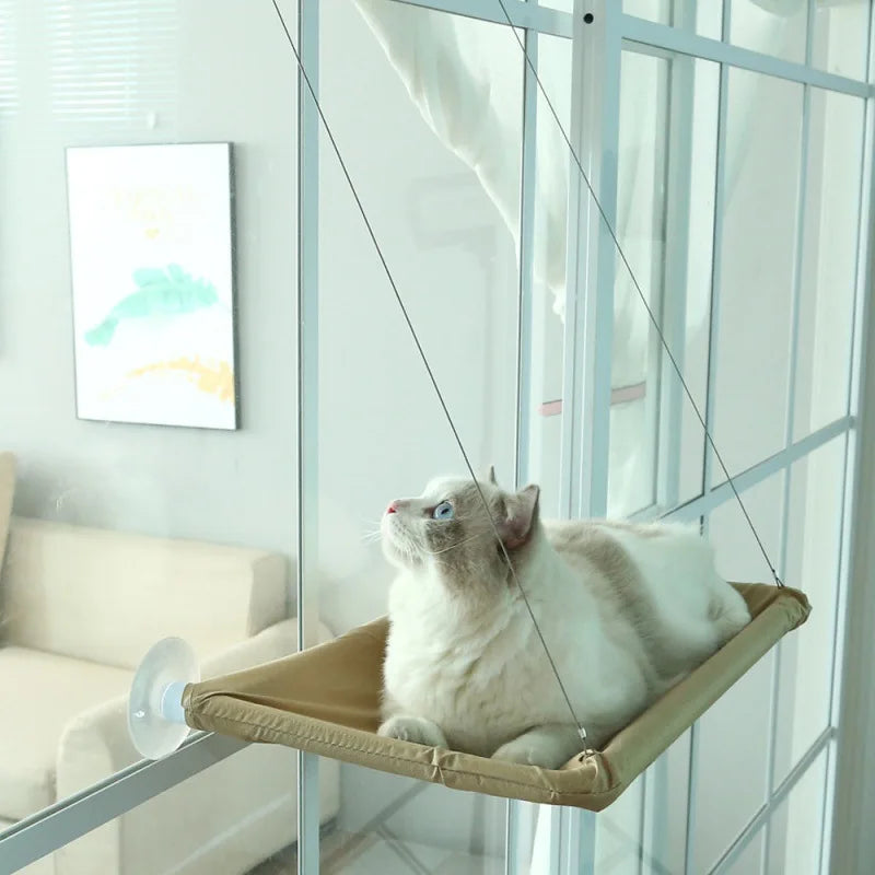 Cat lounging on a beige hammock attached to a glass wall.
