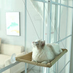 Cat lounging on a beige hammock attached to a glass wall.