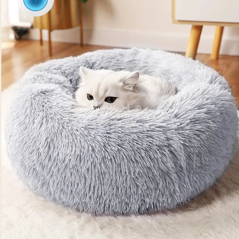 Fluffy gray pet bed with a white cat inside, on a light wooden floor.