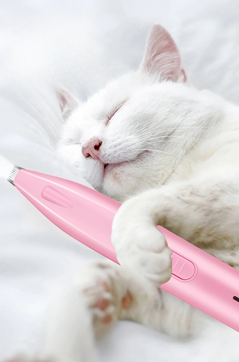 White cat holding a pink electronic device on a white background