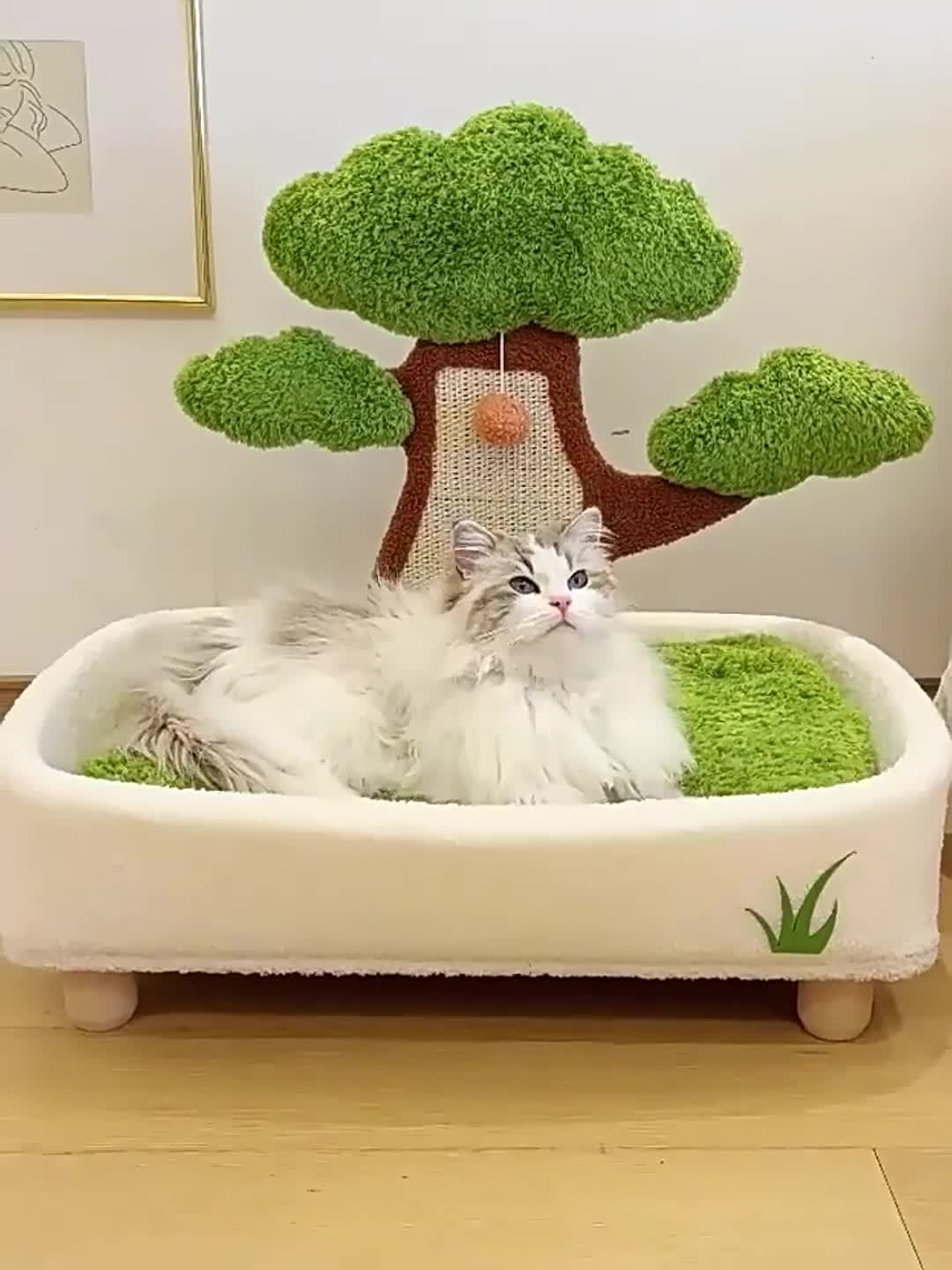 Cat lying on a pet bed with a tree-shaped toy in the background