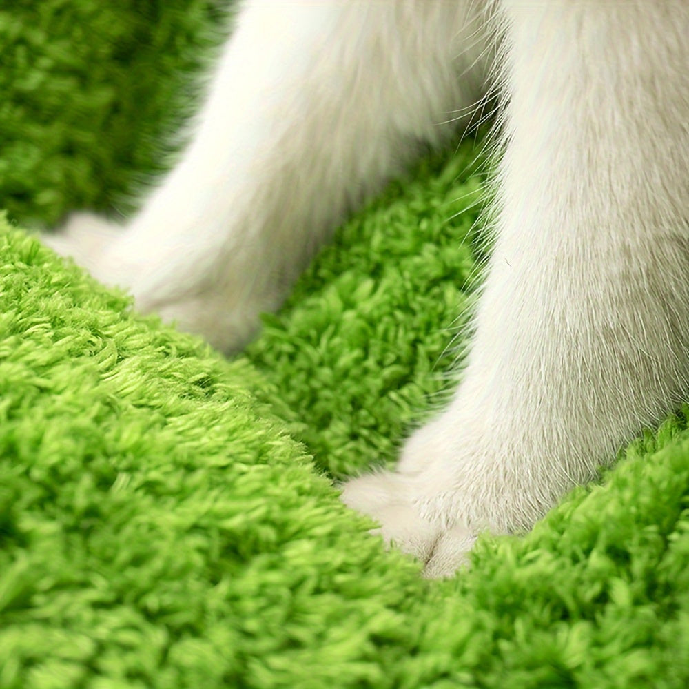 Close-up of a white dog's paws on a green textured surface