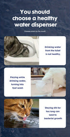 The AquaWhisk Fountain