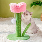 Cat playing with a pink and green cat tree on a white carpet with a green wall in the background.