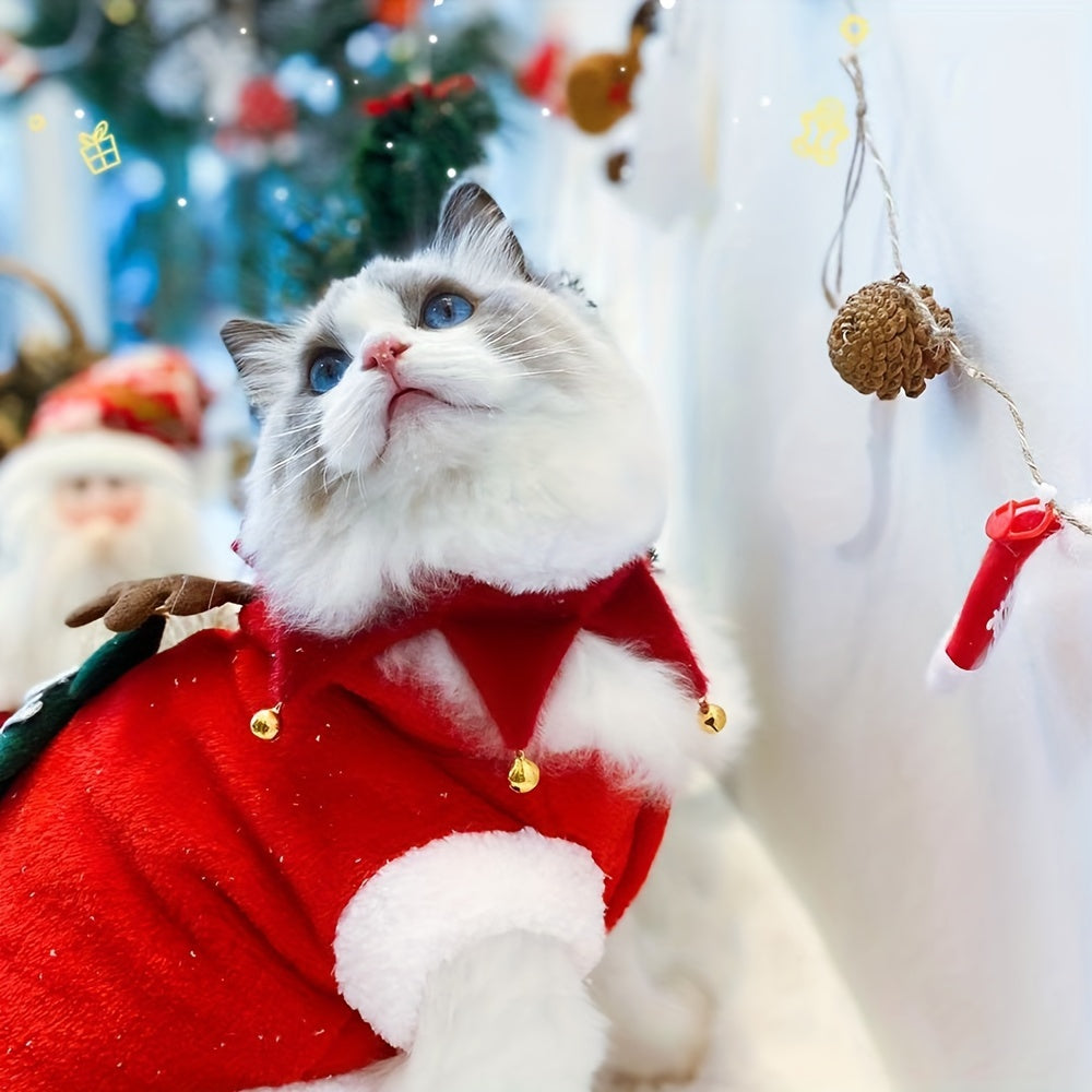 Cat in a red outfit with Christmas decorations in the background
