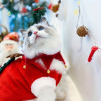 Cat in a red outfit with Christmas decorations in the background