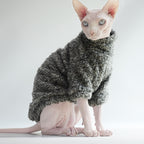 Cat wearing a gray sweater on a white background