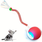 Cat playing with a colorful LED ball toy on a white background