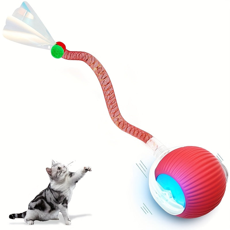 Cat playing with a colorful LED ball toy on a white background