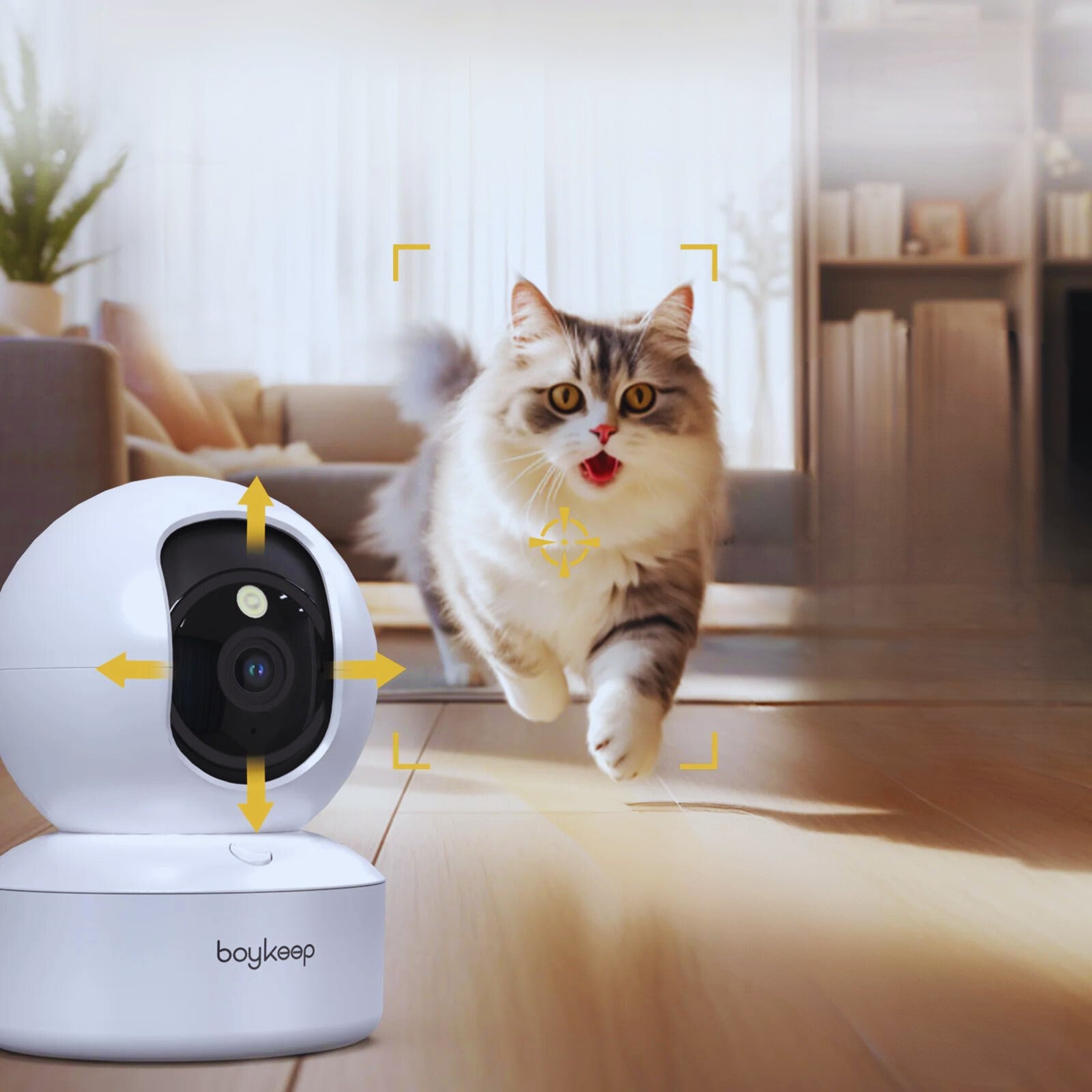 Cat walking towards a smart camera with 'boykeep' branding on a wooden floor.