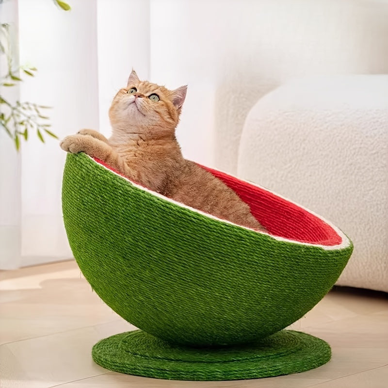 Cat sitting inside a green and red watermelon-shaped pet bed.