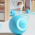 Blue pet toy with a cat in the background