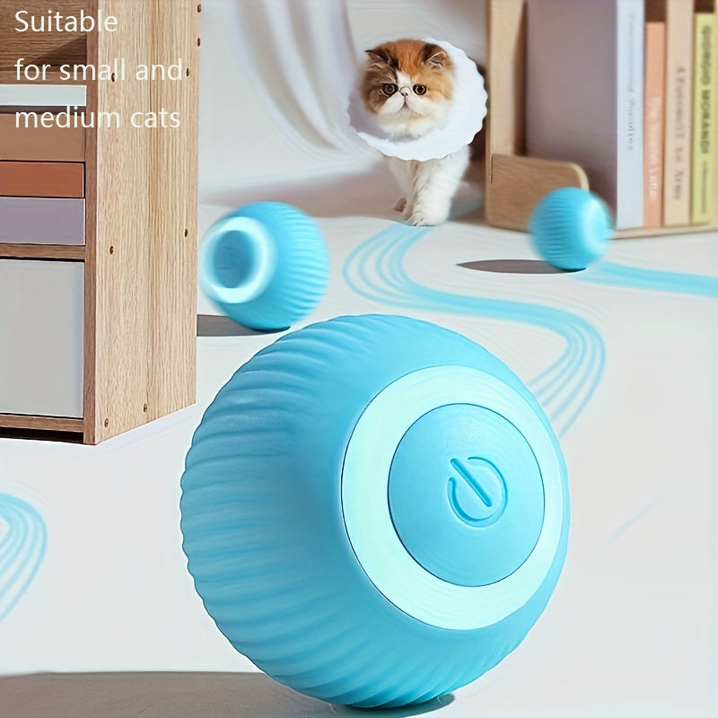 Blue pet toy with a cat in the background
