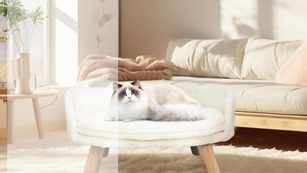 The Cozy Cloud Lounge